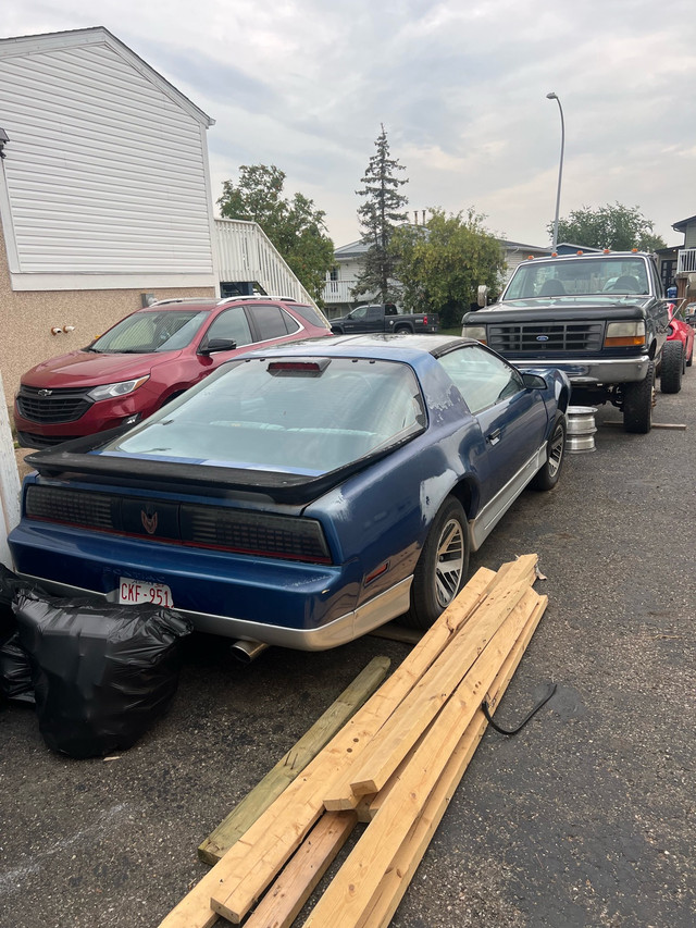 1986 TRANS AM T TOP. RUST FREE!  in Cars & Trucks in Fort McMurray - Image 2