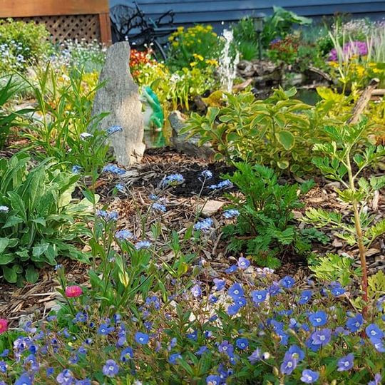 - Plan d 'aménagement GRATUIT ! dans Plantes, engrais et terreaux  à Sherbrooke