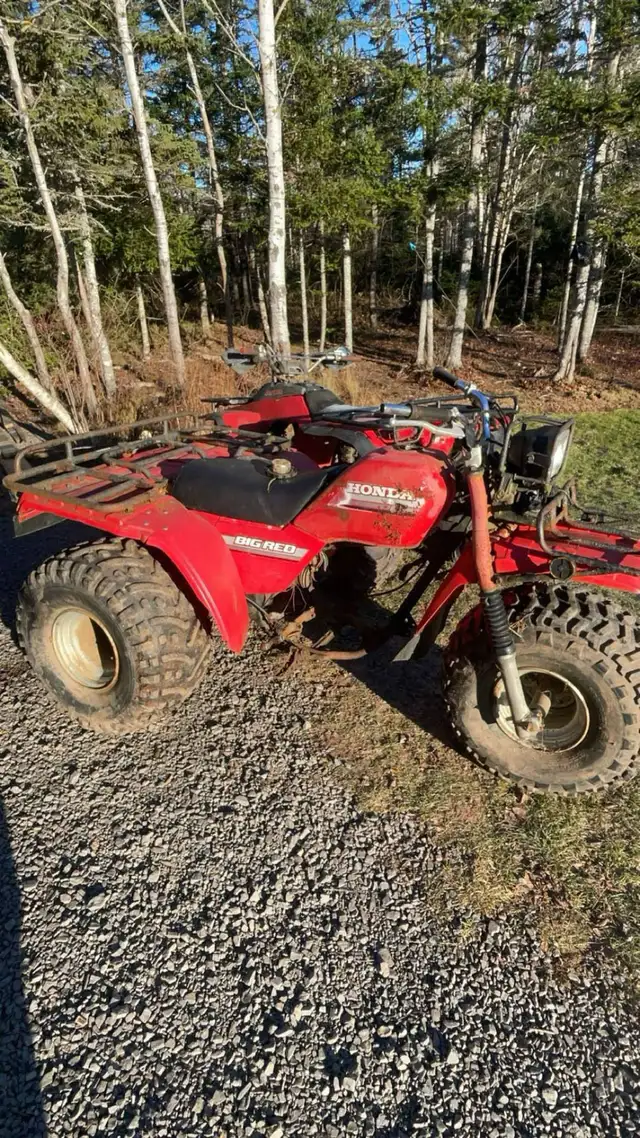 wanted to buy bigred 250 frame  in ATVs in New Glasgow - Image 2