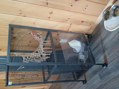 Cage+ rats, View more