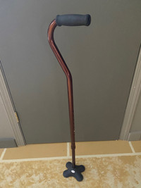 FREE-STANDING CANE