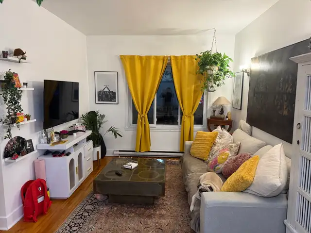 3½ rénové avec cour privée, métro Jolicoeur.