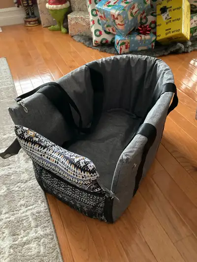 Pet carrier bag and consul car seat, View more