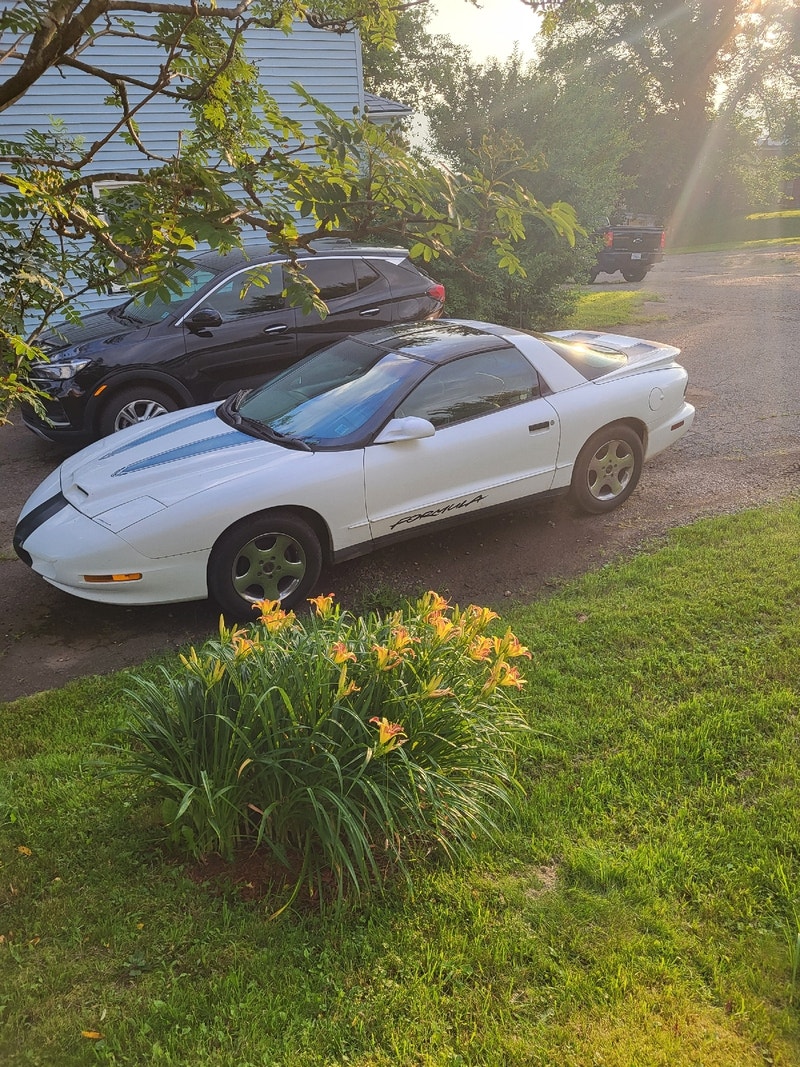1995 formula firebird Classic Cars Cape Breton Kijiji
