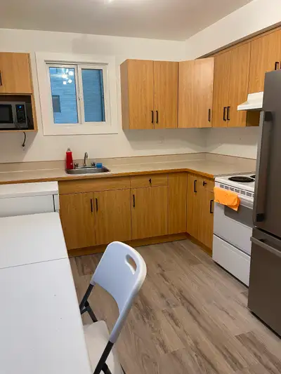 Single Room for Rent