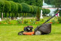 Lawn cutting services 