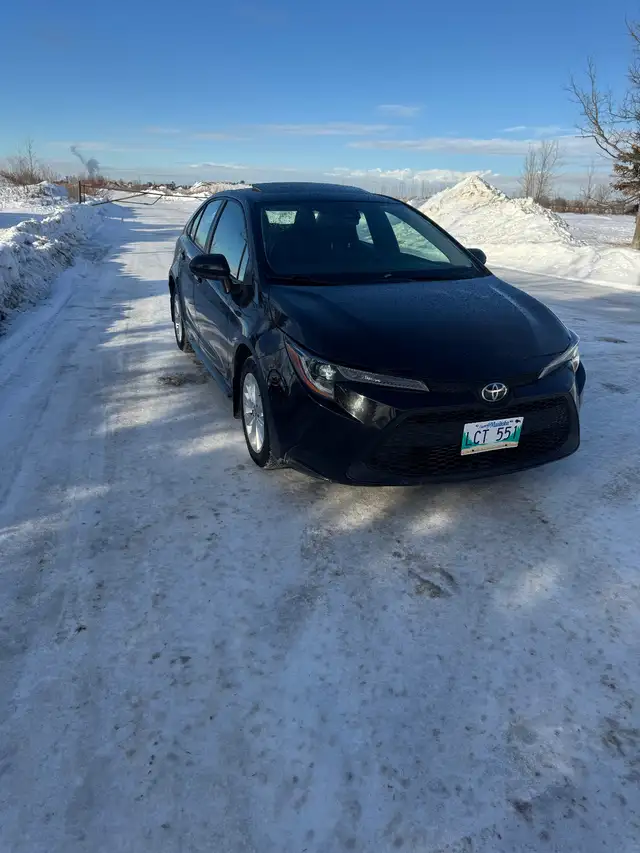 2022 Toyota Corolla Le in Cars & Trucks in Winnipeg - Image 3