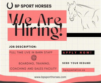 Looking for full time life in barn staff