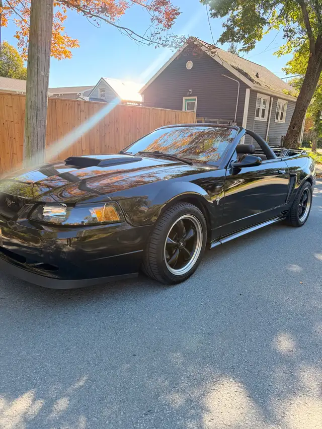 2002 Mustang manual601862351137034242