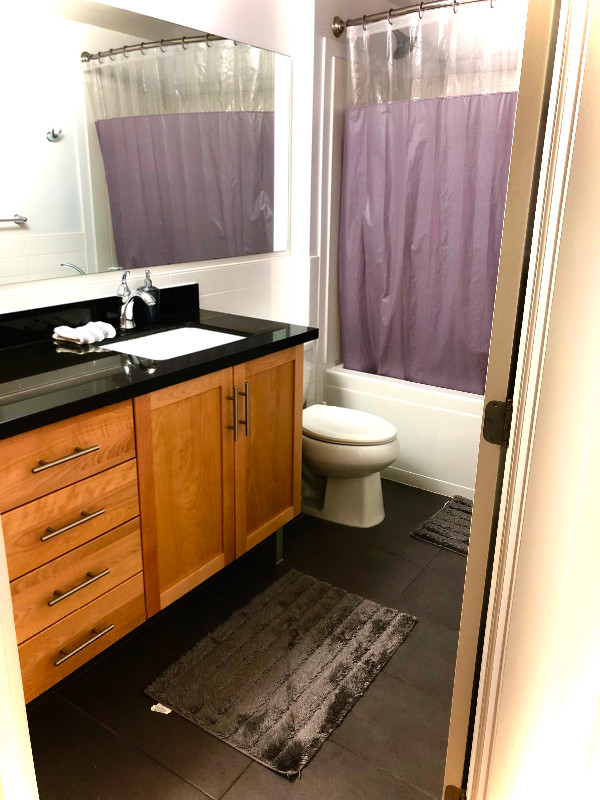 1 Bedroom Available in 3 Bedrooms Apt Downtown Halifax Long Term