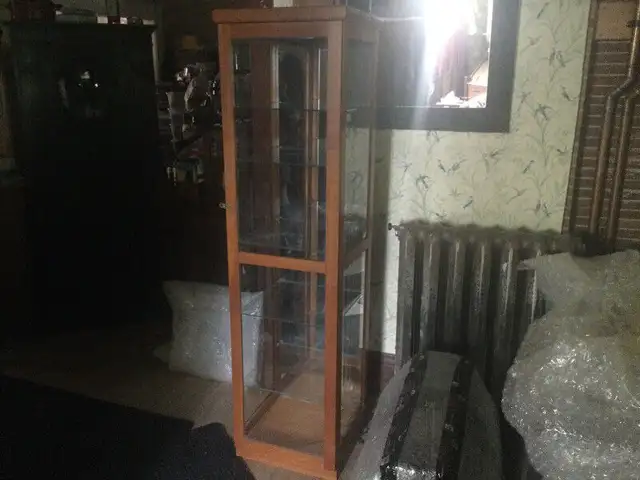 Vintage Danish Teak Display Cabinet, Mirror Panel, Inner Light in Hutches & Display Cabinets in Edmonton - Image 2