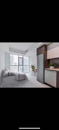 May 14 Furnished Downtown Toronto Condo 