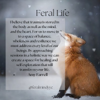 Embrace Wellness with Feral Minds in Calgary