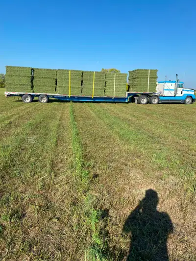 Hay Bales, View more