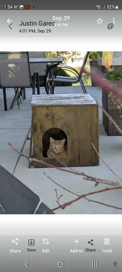 cat 4 sale $25, View more