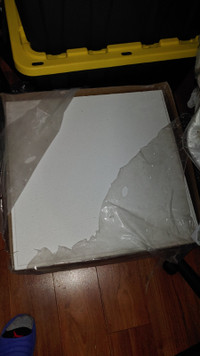 White Ceiling Tiles 2-ft x 2-ft x 5/8-in, 13 pieces
