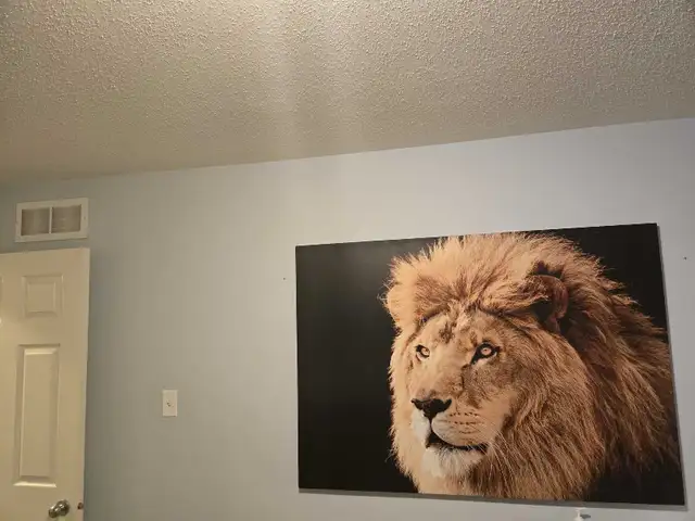 large wall picture in Home Décor & Accents in Ottawa - Image 4