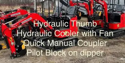 Brand new 2025 Prairie dog mini excavator 13.5 hp Briggs & Stratton Perfect for backyard projects. M...