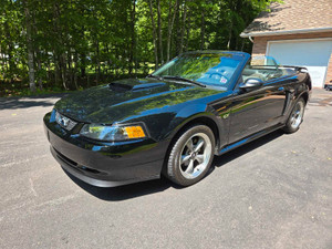 2001 Ford Mustang GT