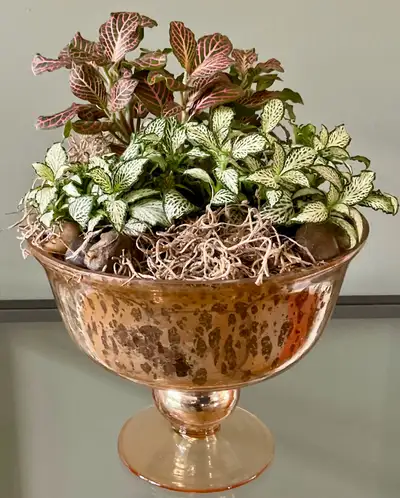 Arrangement fleuriste plantes dans bol verre au mercure | J4B, View more