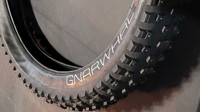 Gnarwhal studded fatbike tire 