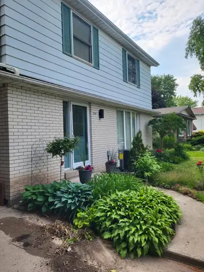 Two Rooms for Rent