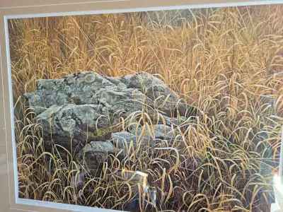Robert Bateman Publisher Proof 20/20, View more