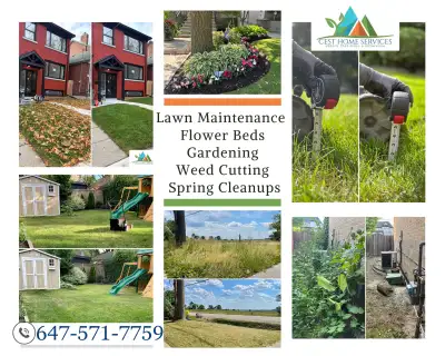 Lawn Maintenance, Flower beds, Yard Cleanup, Weed trimming, View more