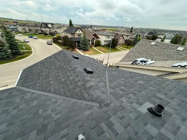 Roofing, siding, skylights, exterior repairs581029261613486086