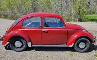 1966 VW Beetle 