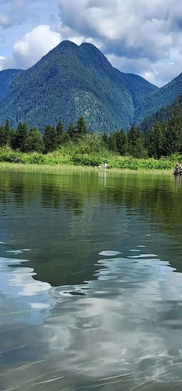 give me a home , home to roam.................We have 5th wheel in British Columbia in Canada - Image 3