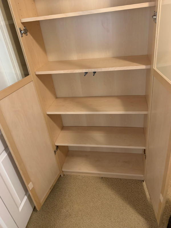 IKEA Billy Oxberg Bookcase with panel/glass doors, birch veneer
