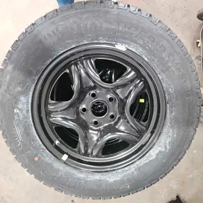 These are brand new Uniroyal Tiger Paw winter tires mounted on black steel rims, ready to tackle the...