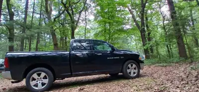 Guy with a truck!, View more