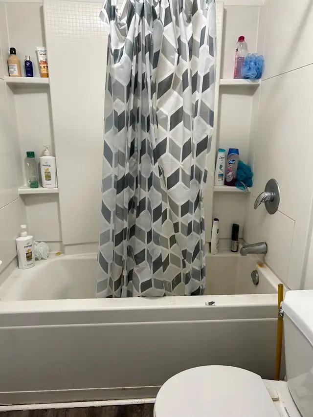 looking for roommates in Room Rentals & Roommates in Kitchener / Waterloo - Image 9