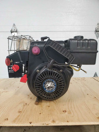 Snowblower motor