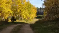 Land For Sale in  Saskatchewan