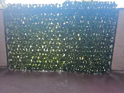Lattice - x2 Panels- Best Offer, View more