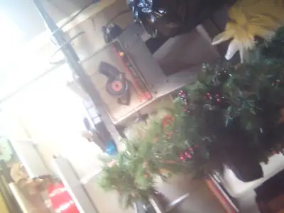a Christmas tree for free, View more