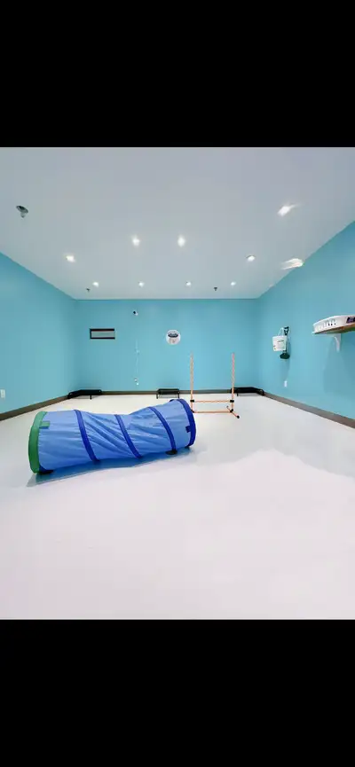 Dog daycare business for sale!, View more