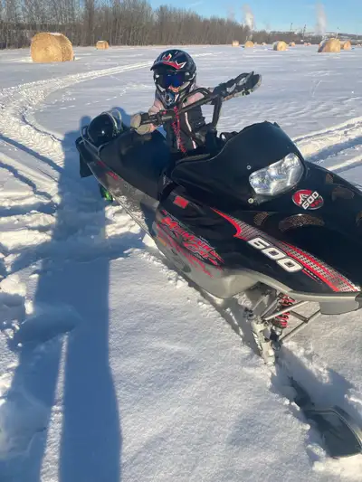 Mountain cat 600 parts sled. Primary clutch broke and took off the end of the crank with it. Would l...