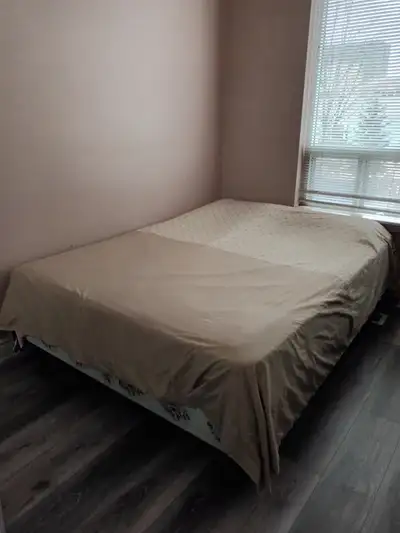 ROOM RENT IN MISSISSAUGA SQ 1