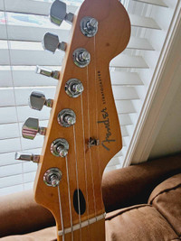 Fender Player Plus Stratocaster with Maple Fretboard.