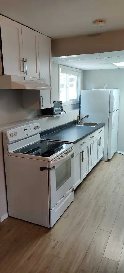 1 bedroom basement suite/studio 1 large bedroom with walk in closet and 1 bath with private entrance...