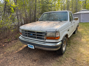 1995 Ford F 150