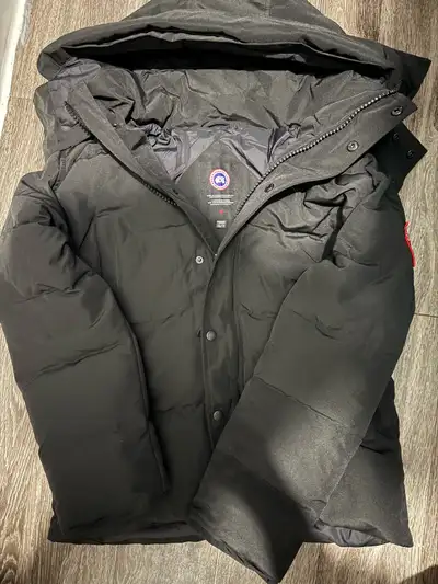 Canada goose , View more