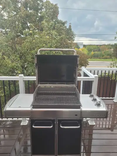 Professional Bbq Cleaning Sale!!!, View more