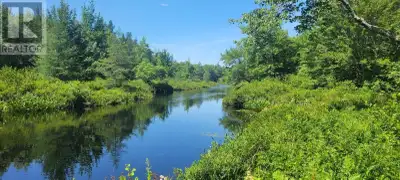 Waterloo, NS, Long Lake. Discover your ideal retreat on this 8.9-acre lot in cottage country, surrou...