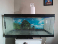 Huge fish tank for sale cheap  