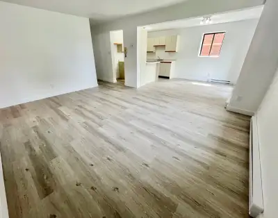 Grand 4½,Demi sous-sol, secteur Bourg-joli libre 1 septembre
